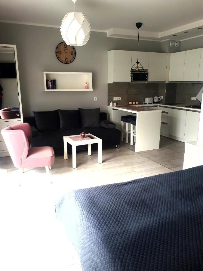 Apartament Pudrowy 达洛科 外观 照片